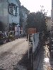 IMG_5130.JPG